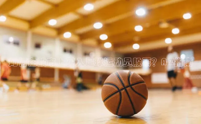 杏悦娱乐登录挪威主权基金