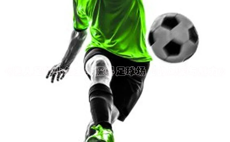 杏悦娱乐官方网站入口颐驰 06