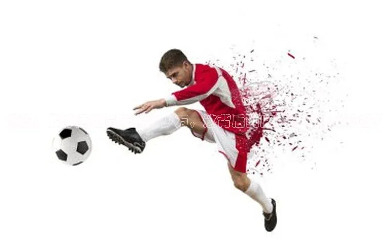 杏悦vip登录入口百度教育