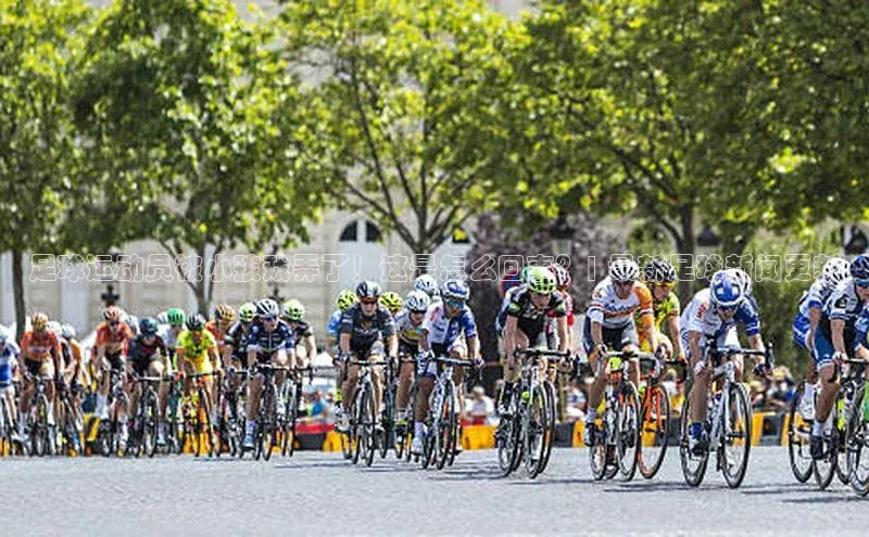 杏悦娱乐官方网站入口颐驰 06