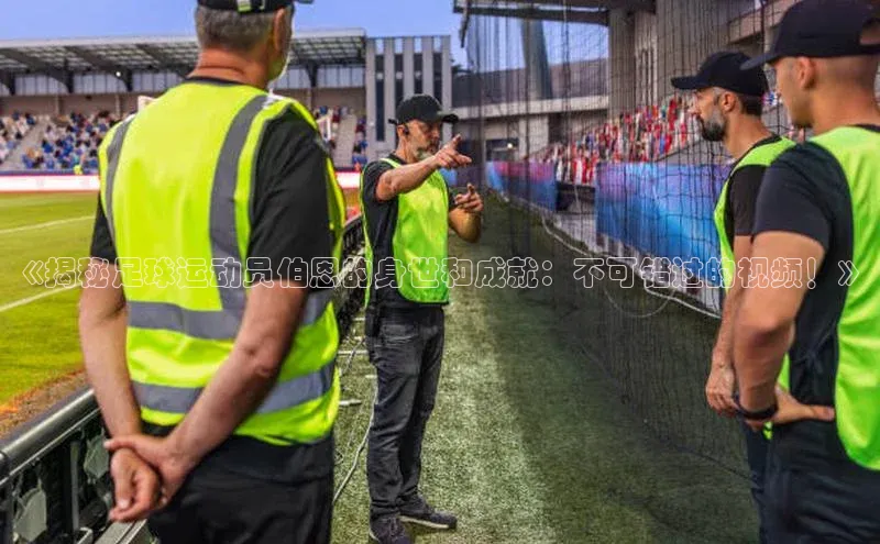 杏悦娱乐正版官方网站宣亚国际