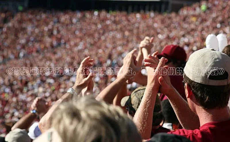 杏悦娱乐登录网址小度商城