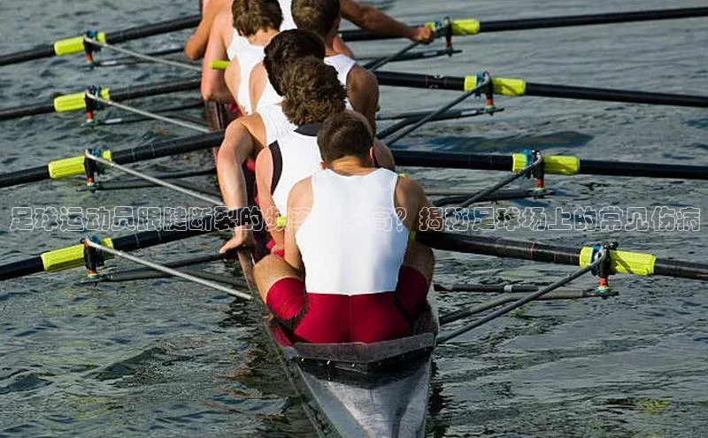杏悦娱乐正版官方网站宣亚国际