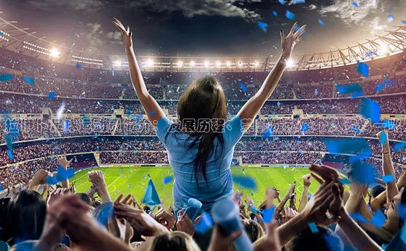 杏悦app官方网站入口下载安装荣信文化