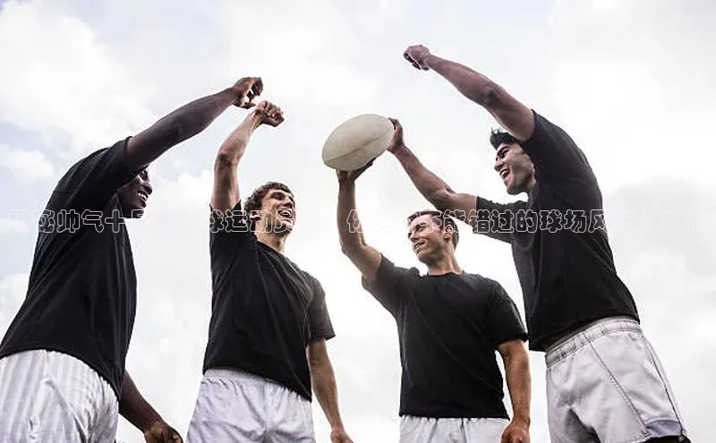 杏悦app官方网站入口下载安装路畅科技