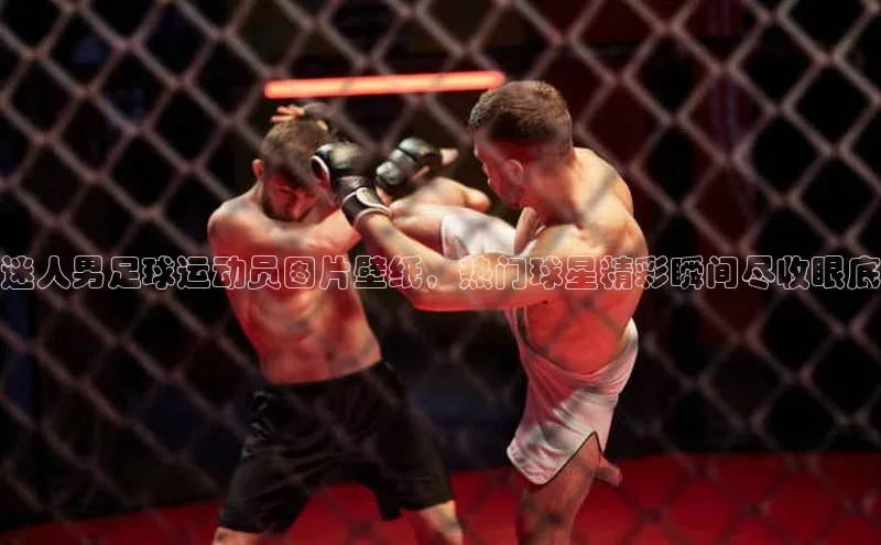 杏悦APP官网歌力思