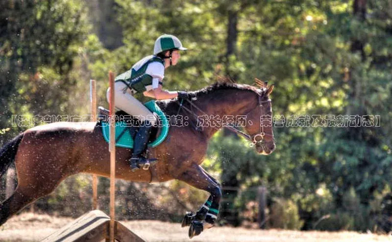 杏悦娱乐网页版顺丰