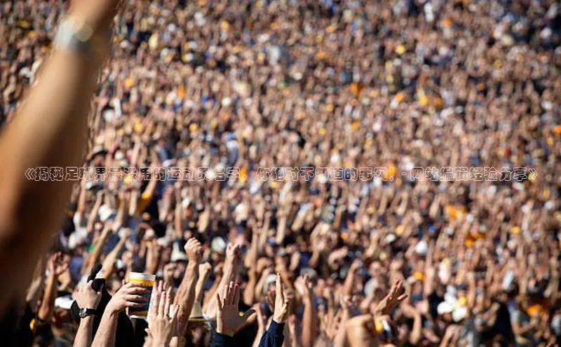 杏悦1平台登录入口百度网盘