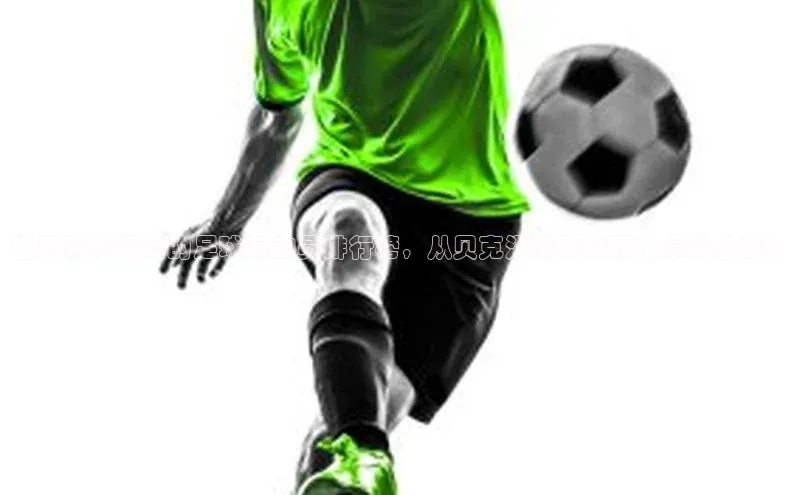 杏悦vip登录入口百度教育