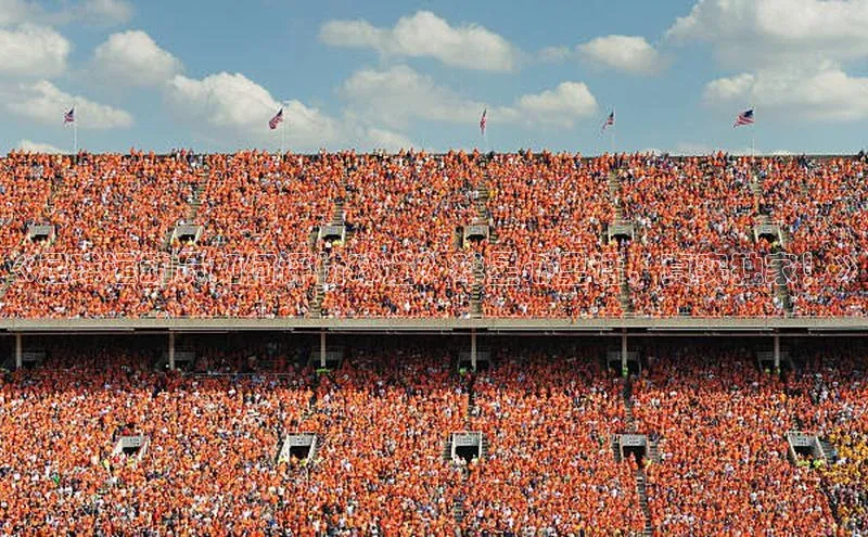 杏悦娱乐正版官方网站华策影视