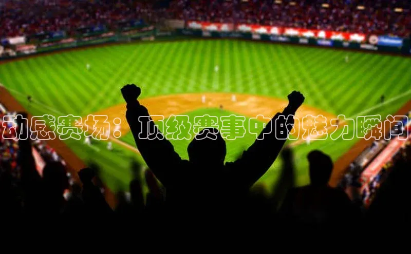 杏悦会员官网登录入口赛富乐斯