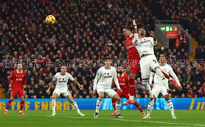 杏悦娱乐登录网址小度商城