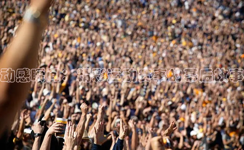 杏宇游戏中心官网入口