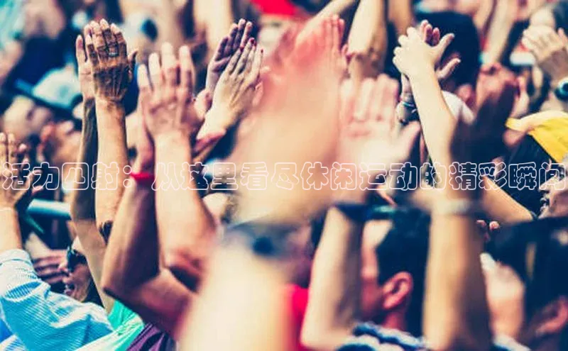 杏宇平台登录入口2024最新版