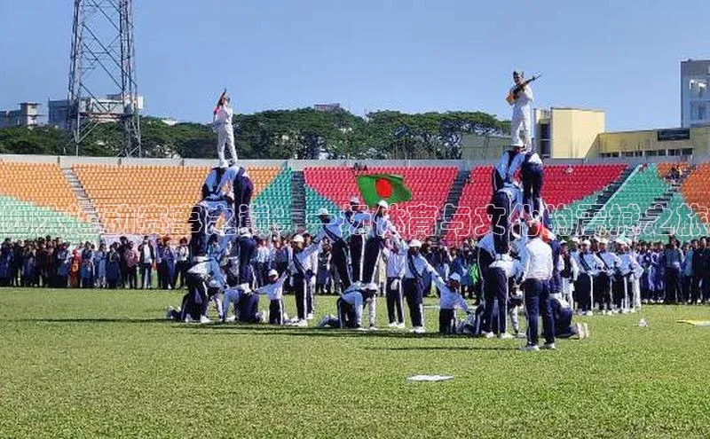 杏宇代理登录中心