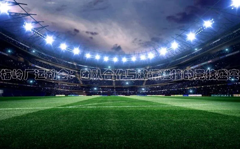 杏宇平台登录入口2024最新版