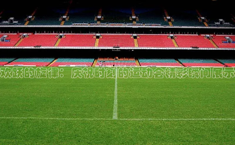 杏宇平台登录入口2024最新版