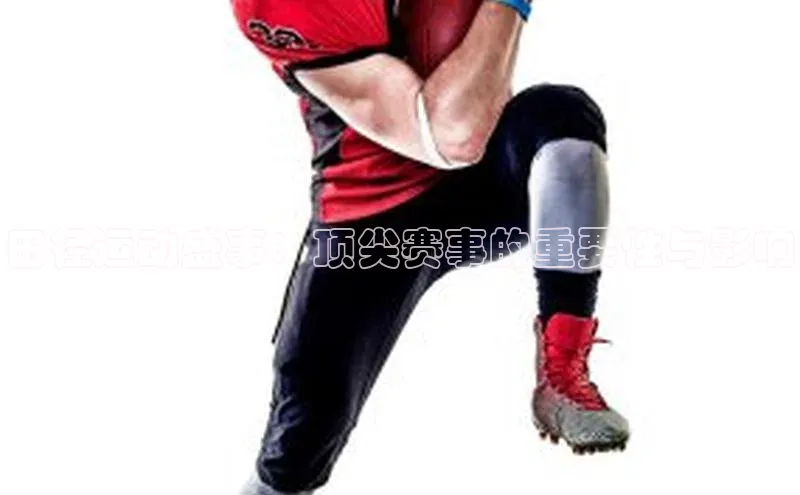 杏宇平台登录入口2024最新版