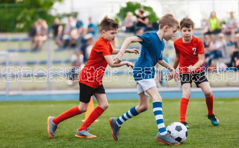 杏宇平台登录官网