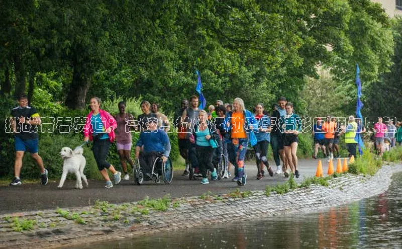 杏宇手游官网入口最新版本更新内容