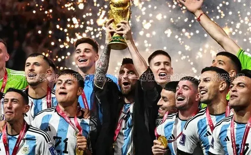 杏宇平台登录入口注册账号