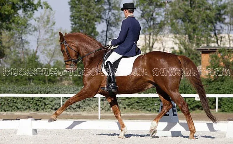 杏宇娱乐app官方下载