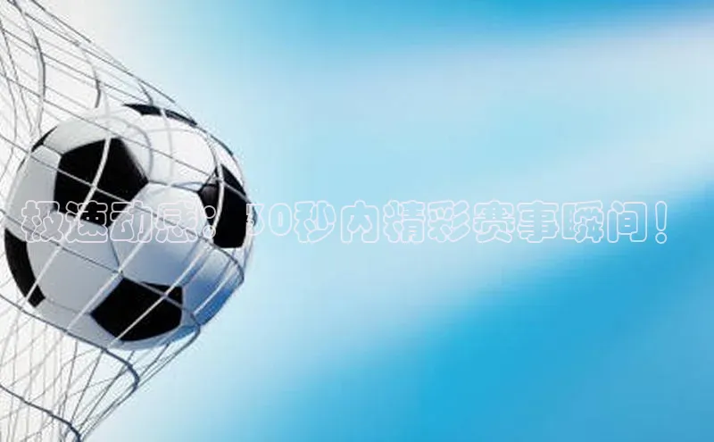 杏宇代理登录中心