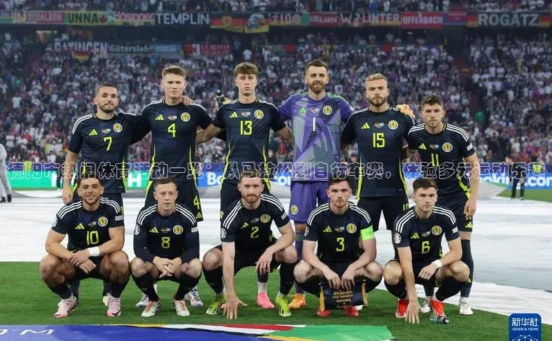 杏宇平台登录入口2024最新版