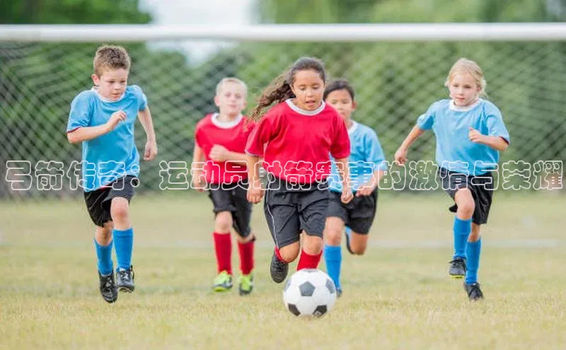 杏宇平台登录官网