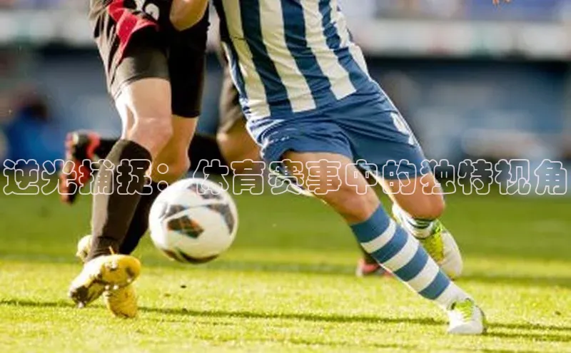 杏宇平台登录入口注册账号