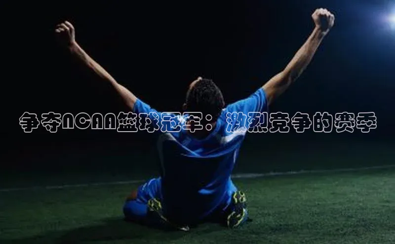 杏宇平台登录官网