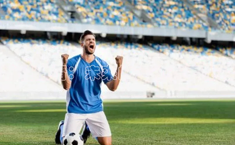 杏宇娱乐平台登录