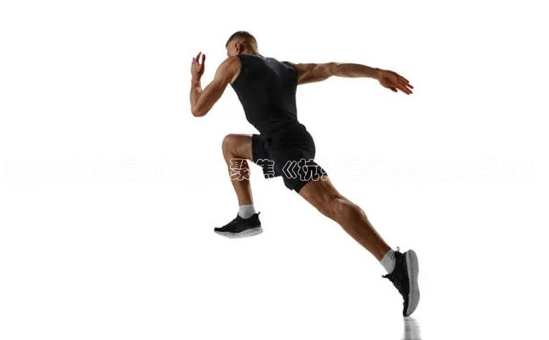 杏宇平台登陆
