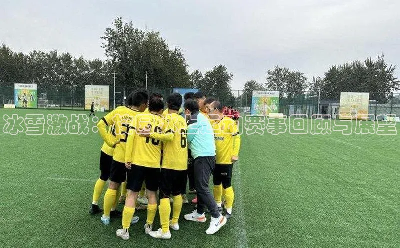 杏宇代理登录中心